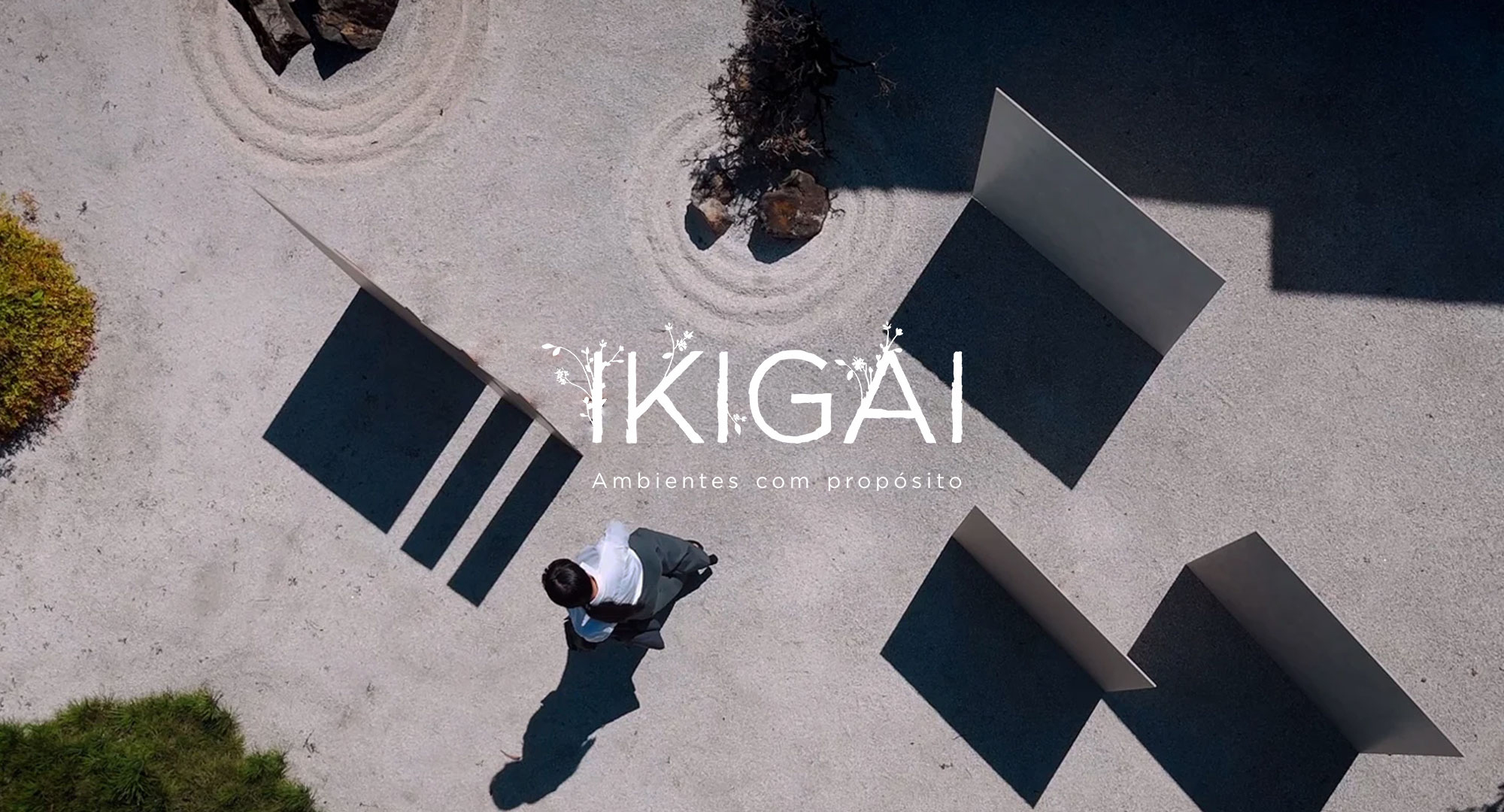 Coleção Ikigai - 2025